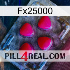 Fx25000 13